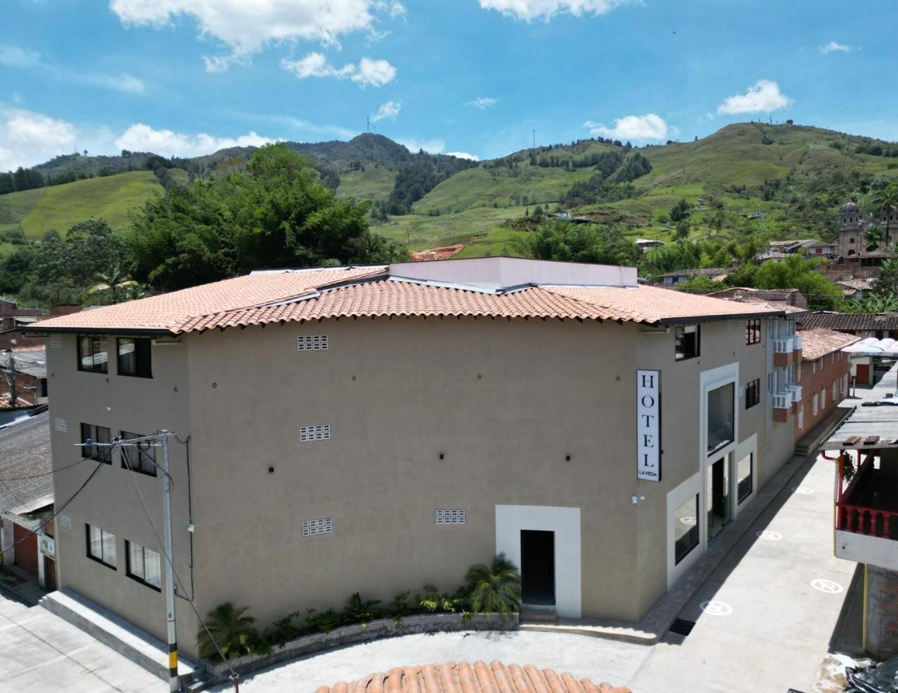 Hotel La Vega Concepcion エクステリア 写真